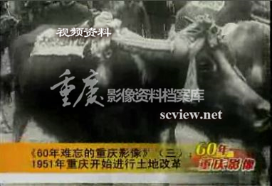 1951年重庆开始进行土地改革