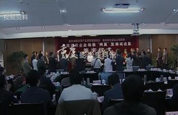 2010年市属国企助“两翼”试点巫溪签11项目投资近30亿元