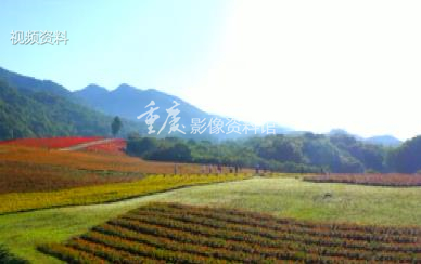 2022年巫溪红池坝美景