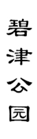 山城影巷重庆影像资料库-重庆公园-碧津公园